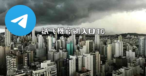 纸飞機官網入口TG