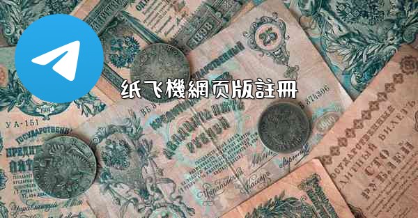 纸飞機網页版註冊