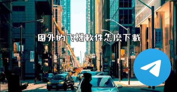 國外的飞機軟件怎麼下載