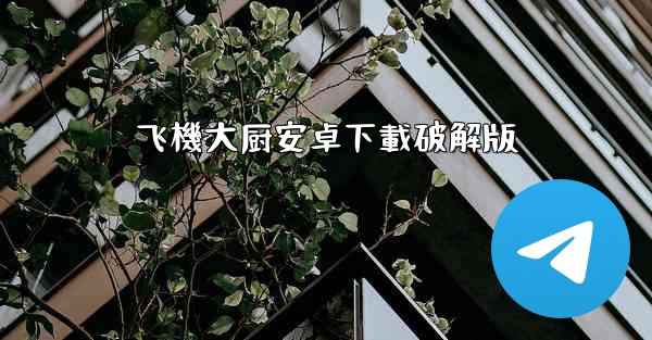 飞機大厨安卓下載破解版