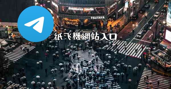 纸飞機網站入口