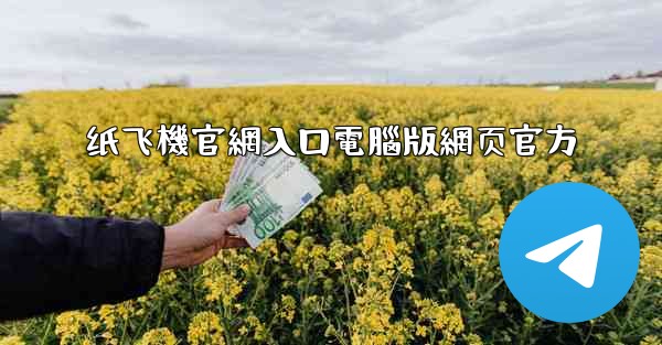 纸飞機官網入口電腦版網页官方