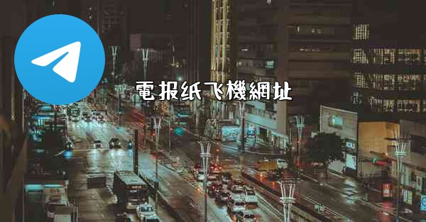 電报纸飞機網址