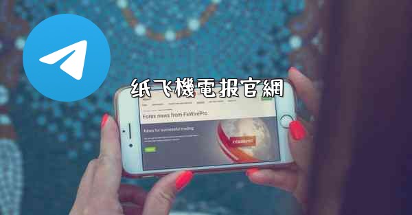 纸飞機電报官網