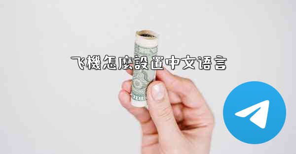 飞機怎麼設置中文语言