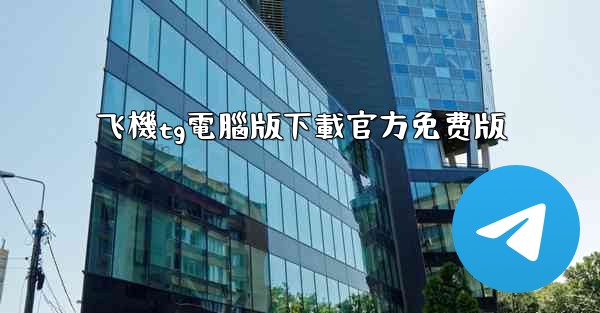 飞機tg電腦版下載官方免费版