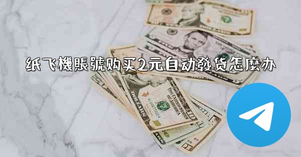 纸飞機賬號购买2元自动發货怎麼办