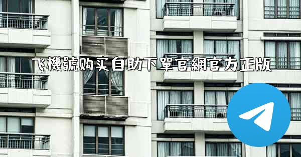 飞機號购买自助下單官網官方正版