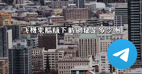 飞機電腦版下載網址是多少啊