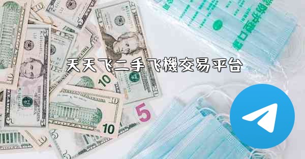 天天飞二手飞機交易平台