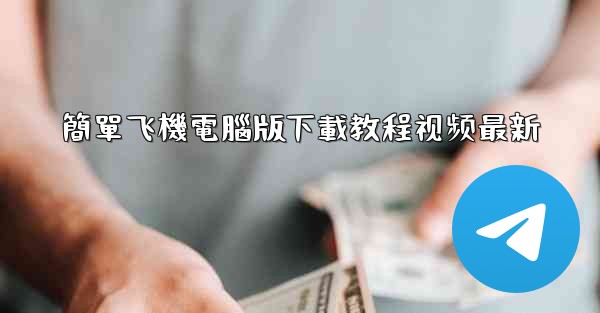 簡單飞機電腦版下載教程视频最新