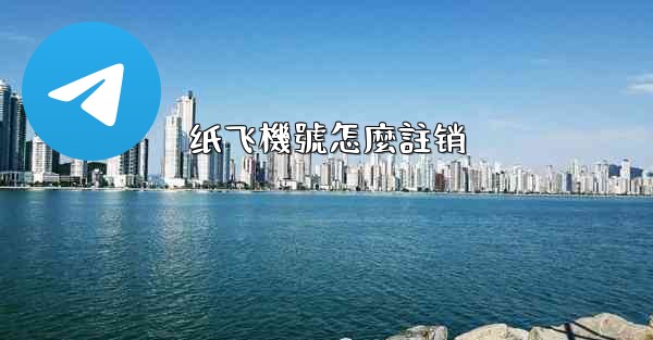 纸飞機號怎麼註销