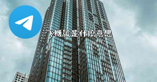 飞機號是什麼意思