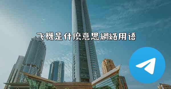 飞機是什麼意思網絡用语