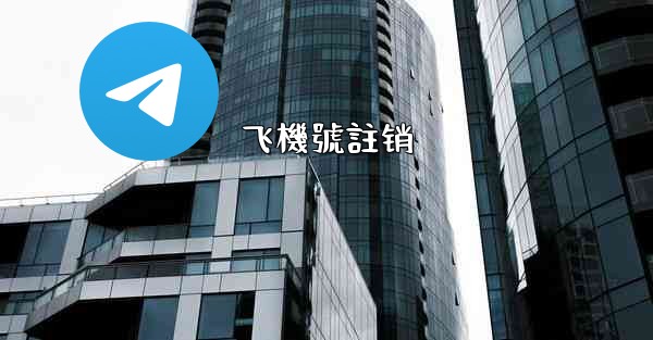 飞機號註销