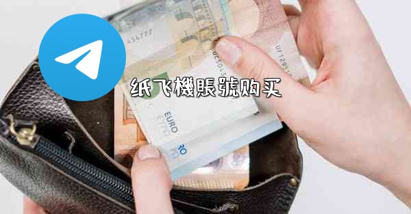纸飞機賬號购买