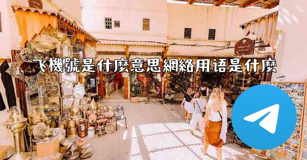 飞機號是什麼意思網絡用语是什麼