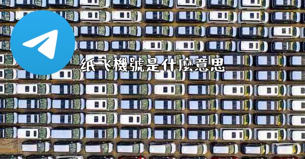 纸飞機號是什麼意思