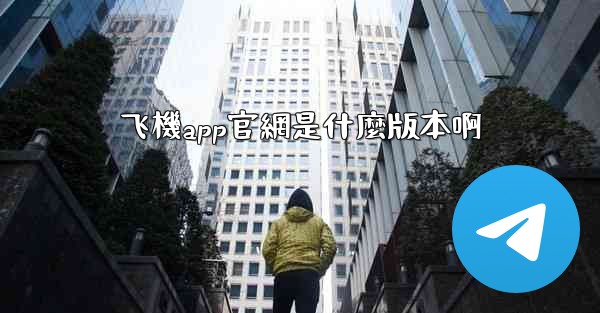 飞機app官網是什麼版本啊