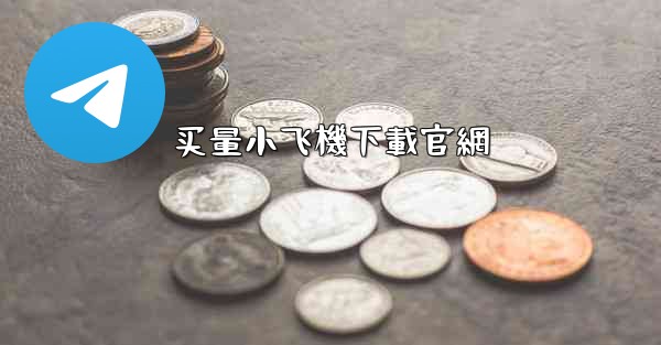 买量小飞機下載官網