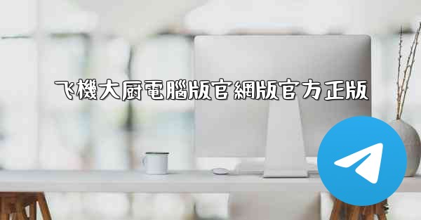 飞機大厨電腦版官網版官方正版