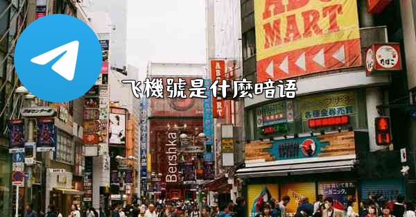 飞機號是什麼暗语