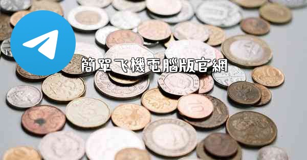 簡單飞機電腦版官網