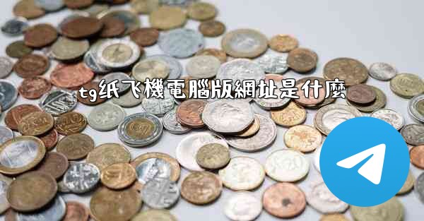 tg纸飞機電腦版網址是什麼