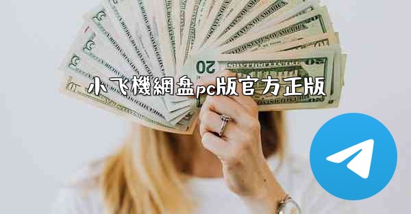 小飞機網盘pc版官方正版