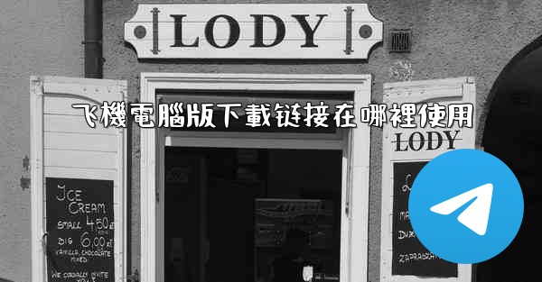 飞機電腦版下載链接在哪裡使用